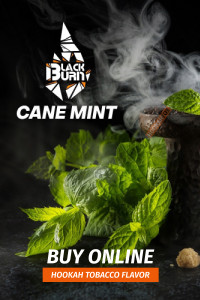 Tobacco Black Burn 100 grams of Cane Mint