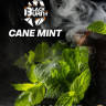 Tobacco Black Burn 100 grams of Cane Mint