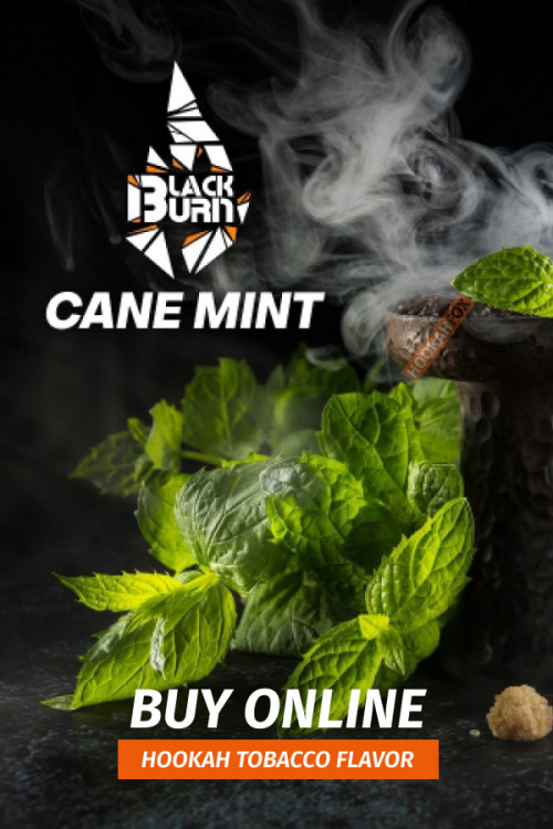 Black Burn Tobacco 20 gr Cane Mint